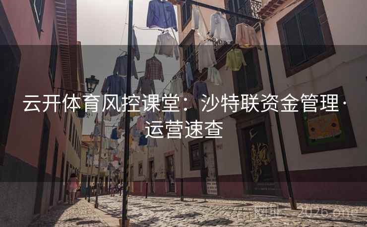 云开体育风控课堂:沙特联资金管理·运营速查 云开体育风控课堂:沙特联资金管理·运营速查